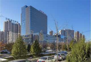 瑞安加工钛弯头三通